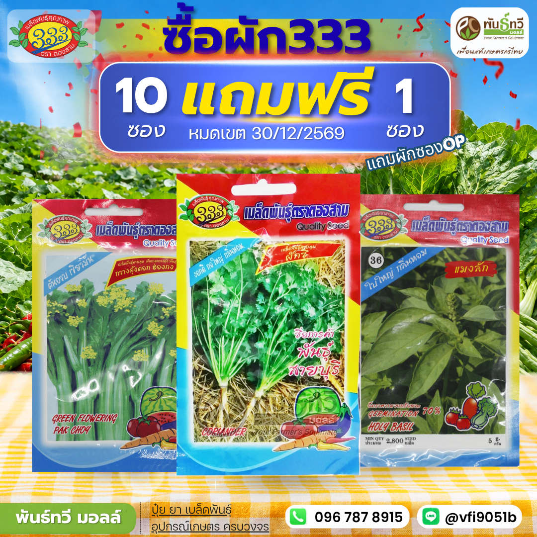 333 10 แถม 1